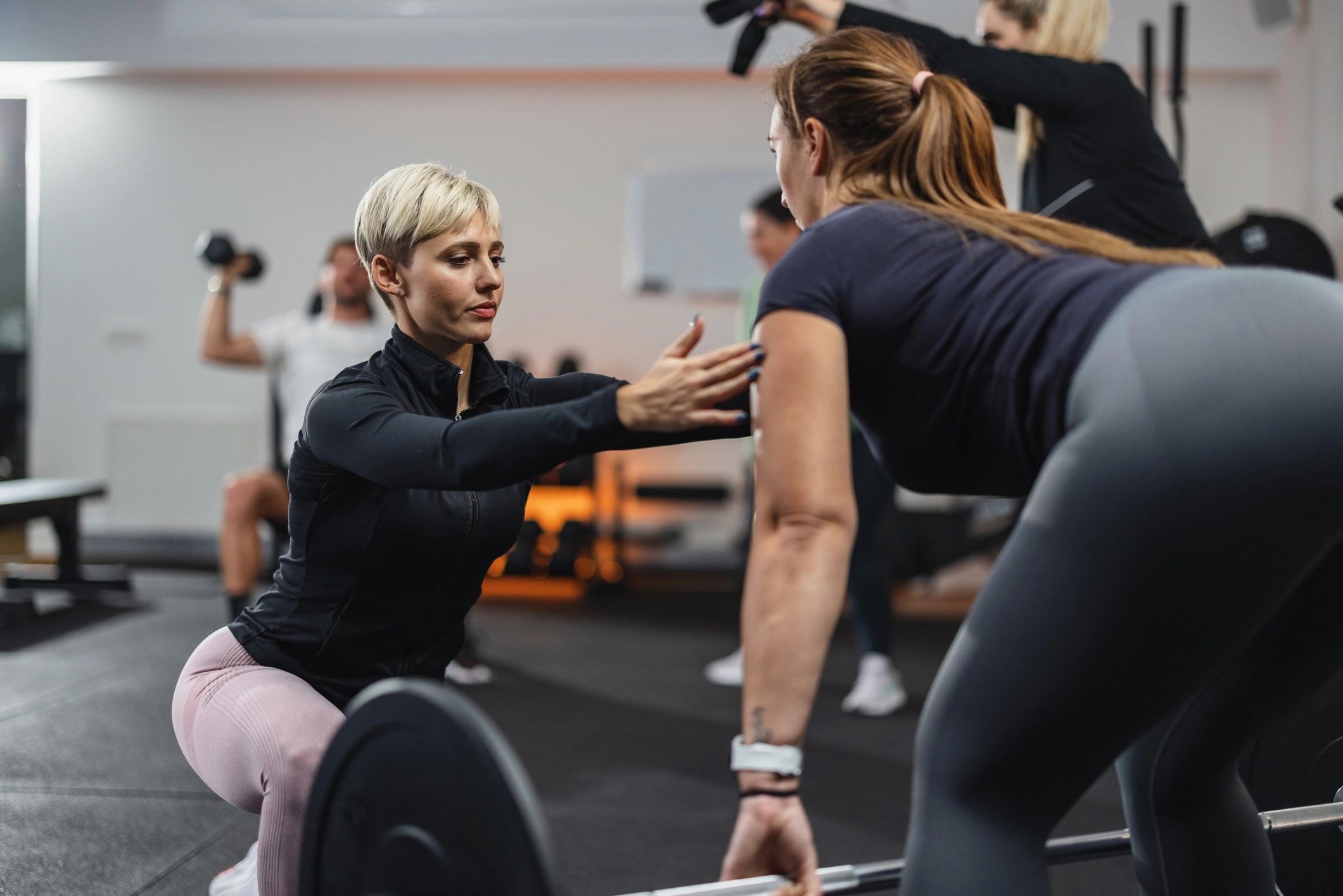 Peak Pilates vs AeroPilates vs Premium Reformers: A Friendly Brand Comparison